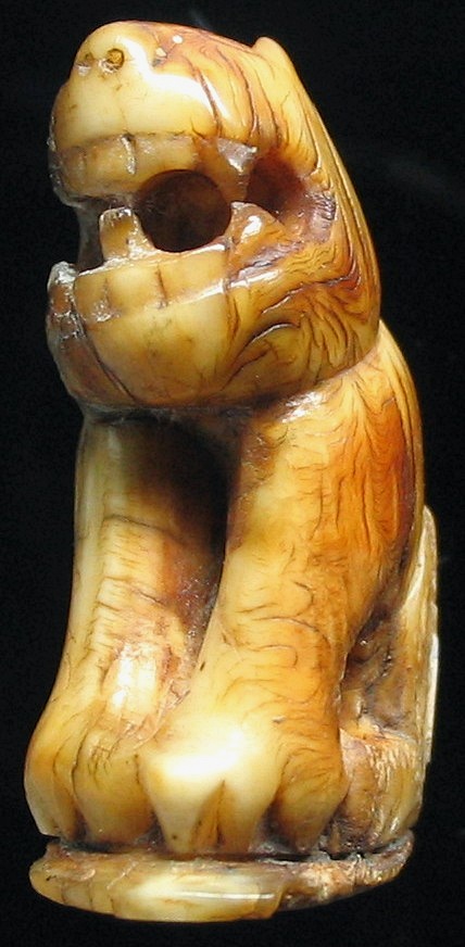 เสือ ครับ