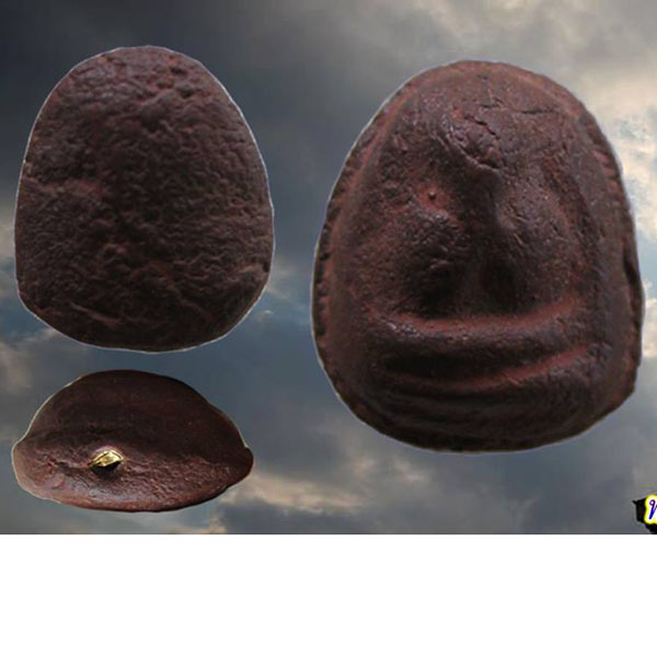 พระที่ไหนครับ ตะกุดทอง เนื้อชานมาก