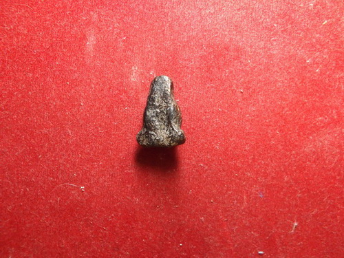 สอบถามพระปิดตาครับ