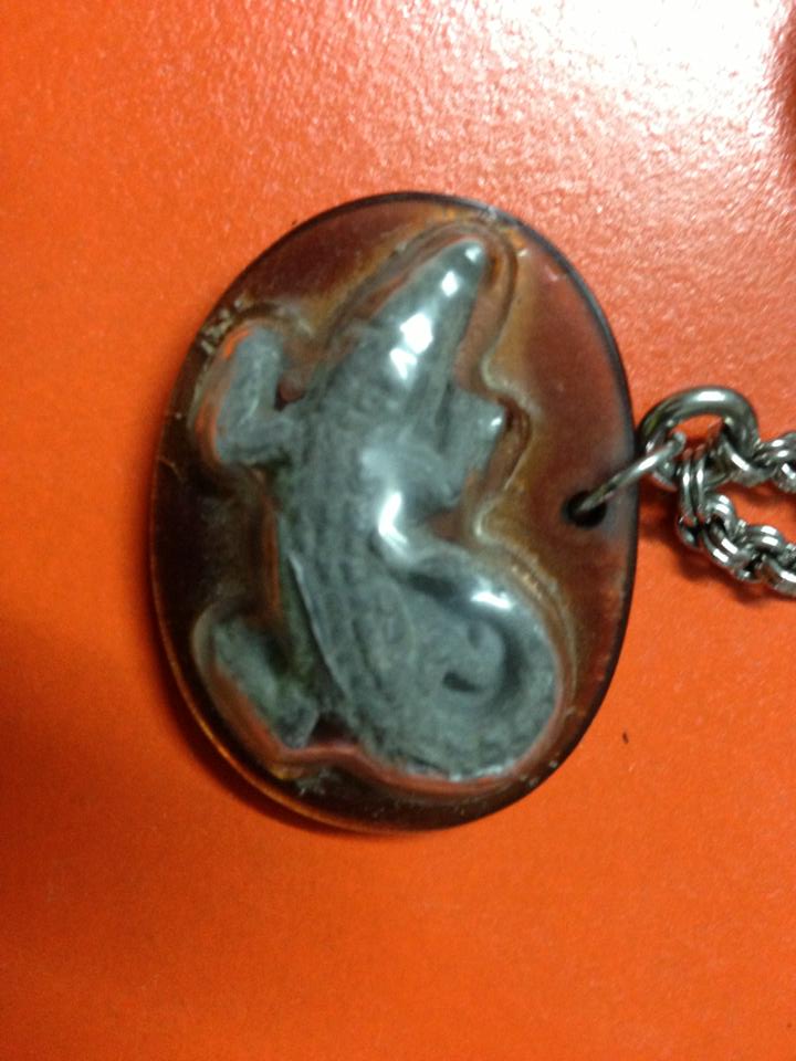 จระเข้ ของวัด ไหน ของใคร 