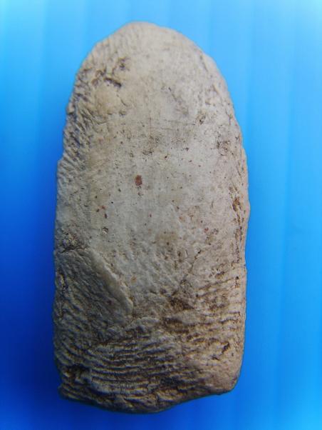 พระรอดองค์นี้แท้ไหมครับช่วยวิเคราะห์ให้หายสงสัยหน่อยครับ..