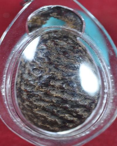 หมากทุย