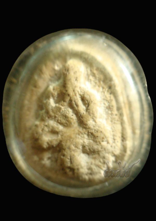 พระปิดตาเนื้อผงขาวหลังเบี้ย