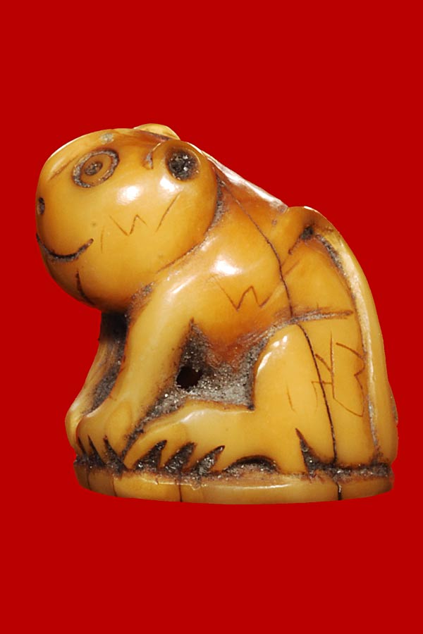 ช่วยดูเขี้ยวเสือจิ๋วหน่อยครับ