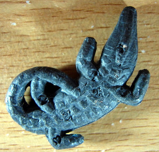 จระเข้ ทบ. หลวงพ่อสนิท