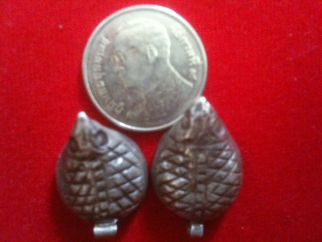 นกคุ้มเนื้อเงินอุดผงไม่ทราบคนาจารย์