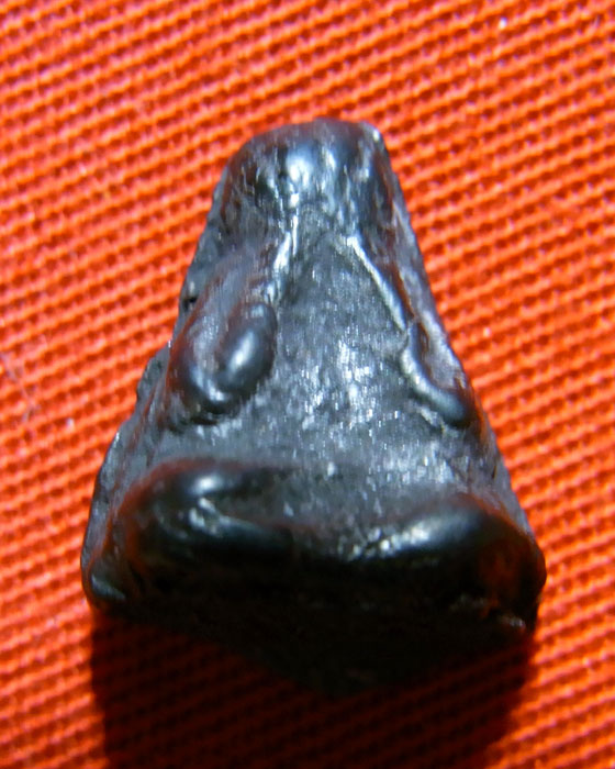 เนื้อผงดำ ข้าวตอกแตก รบกวนช่วยพิจารณาวิจารย์ให้หน่อยครับ