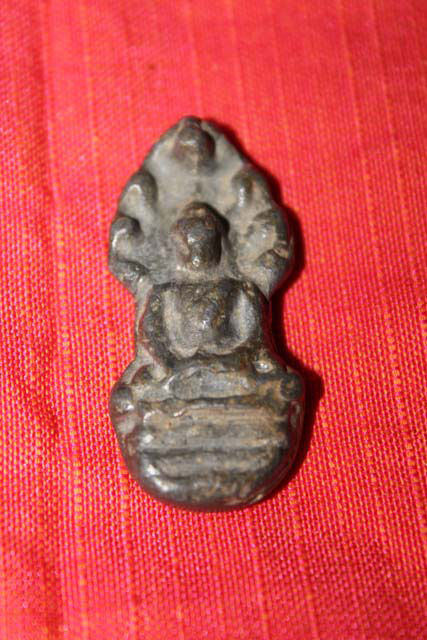 รบกวนด้วยครับ นาคปรก เก็บได้ในนาตอนไถนา คอมเม้นด้วยครับ