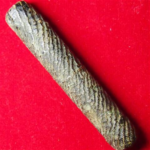 ตะกรุดเก่าไม่ทราบที่ค่ะ