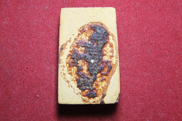 สอบถามสองรายการครับ