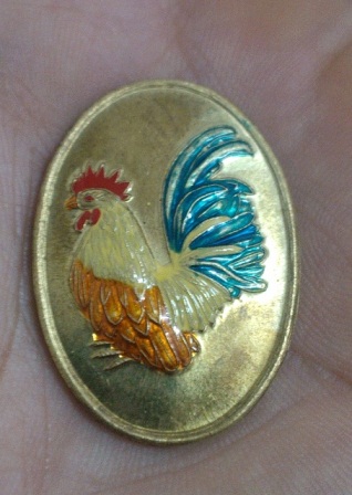 เหรียญไก่ หลวงพ่อสรเดช เตชวโร วัดคีรีธรรมาราม ลพบุรี