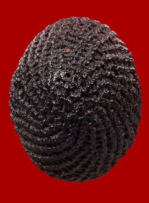 เบี้ยแก้