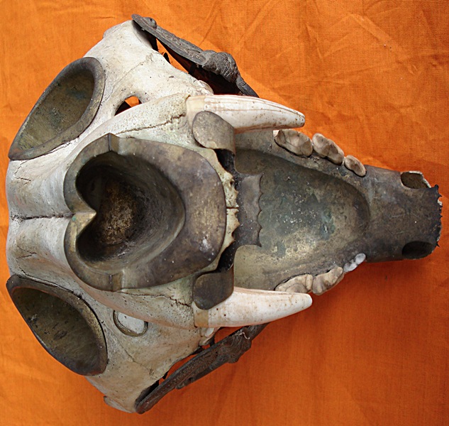 หัวเสือเก่า