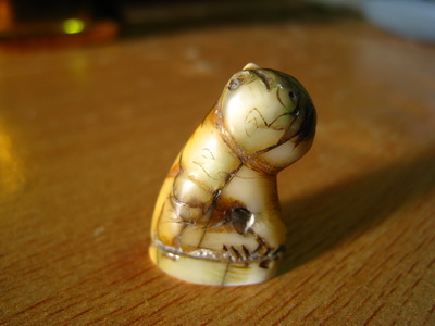 เขี้ยวเสือแท้ไหมครับ