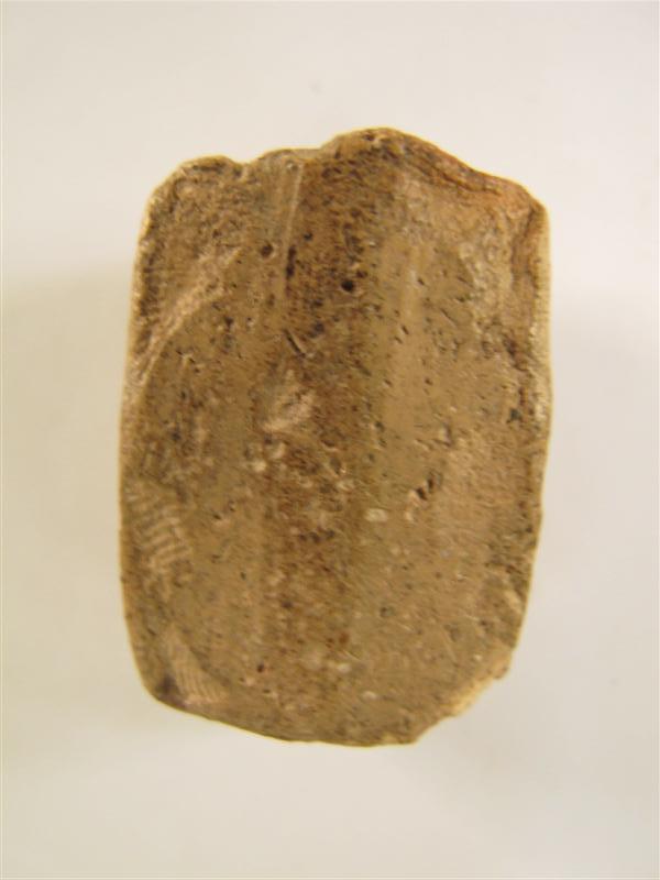 รบกวนช่วยพิจารณาหลวงพ่อปานครับ