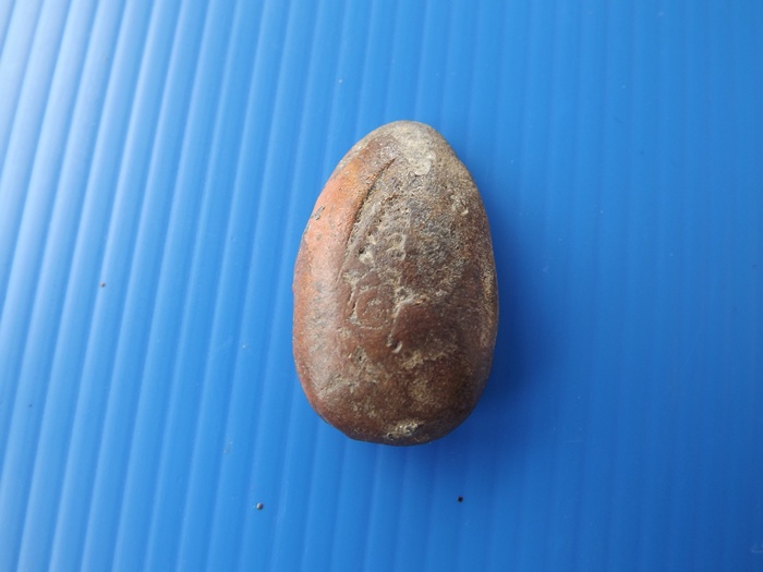 ชินราชครับ