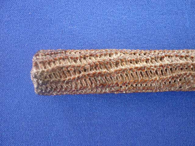 ตะกรุดไม่ทราบที่(2)