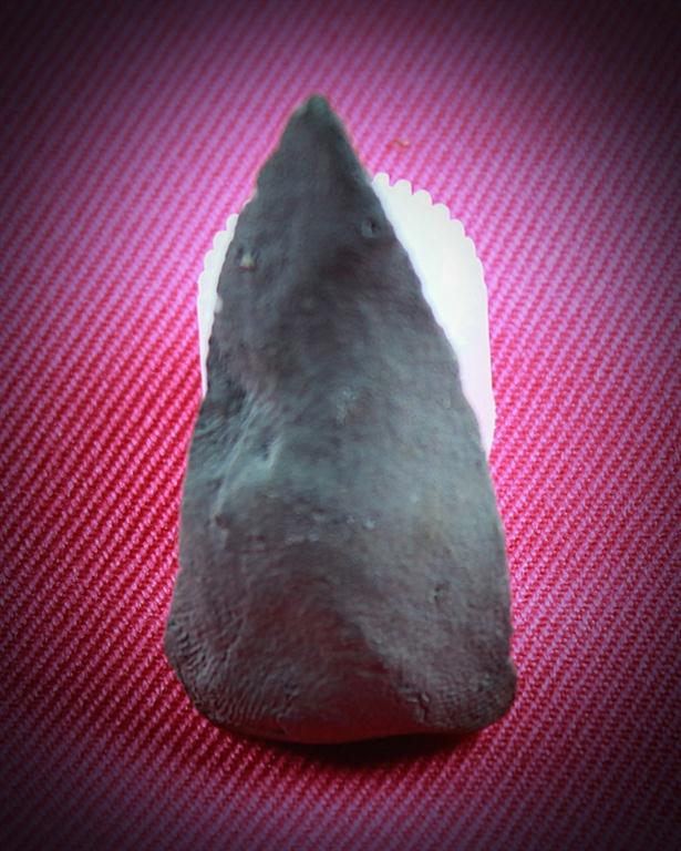 ไม่ทราบชื่อ ไม่ทราบพิมพ์ครับ 