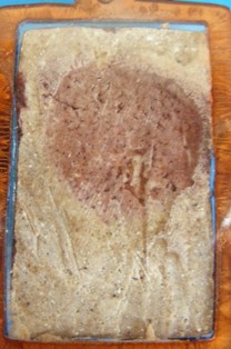 ใช้พิมพ์หลวงพ่อโสธรหรือป่าว