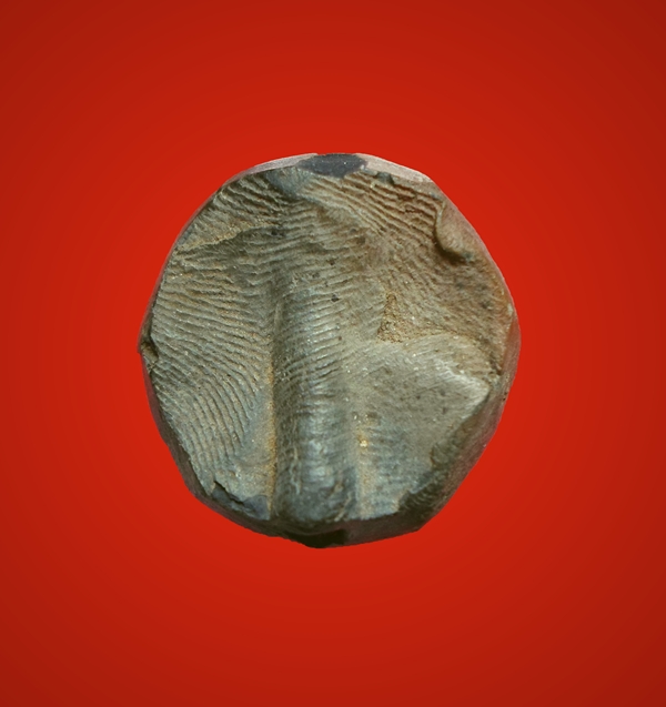 สอบถามพระเนื้อดินครับ