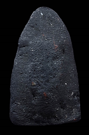 เนื้อว่าน 24 ปู่ทวด