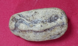 สอบถามพระวัดพลับครับ. 