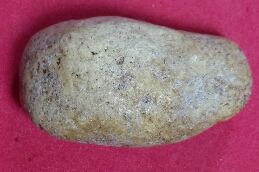 สอบถามพระวัดพลับครับ. 