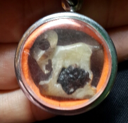 สอยถามครับ