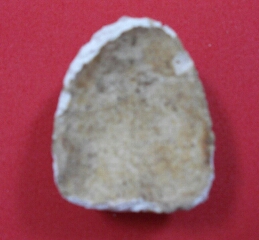 รบกวนสอบถามครับ