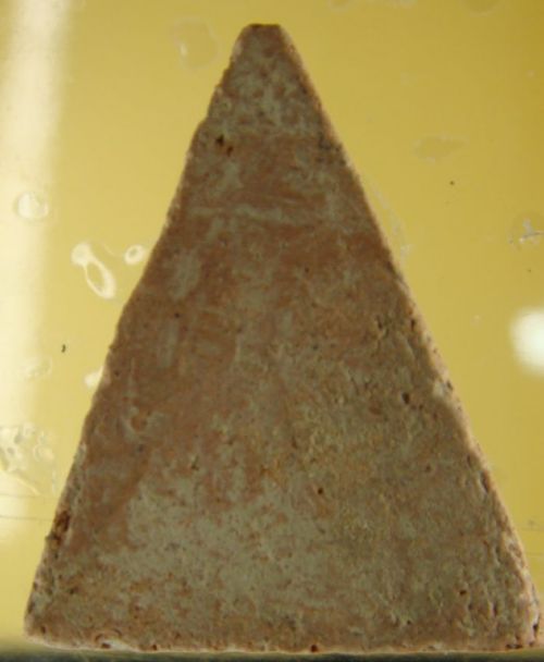 ช่วยดูนางพญาทีครับว่าเป็นที่ไหน