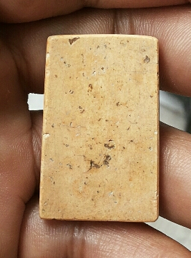 หลวงปู่ภูหรือปล่าวครับ?