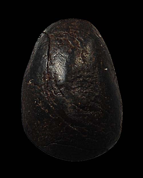 สอบถามพระปิดตาจิ๋ว ที่ไหนพอทราบไหมครับ ขอบคุณครับ