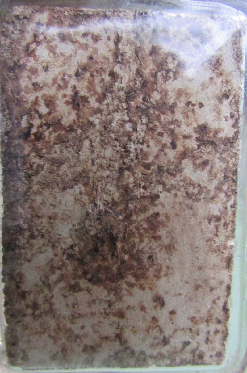 อยากทราบสมเด็จที่ไหนใครรู้บ้าง