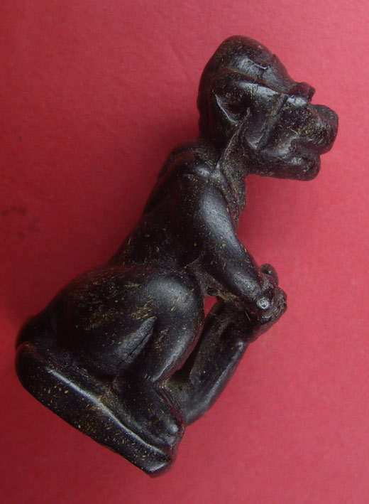 ลิงผงคลุกรักเก่า ไม่ทราบที่ ขอคำแนะนำด้วยครับ..