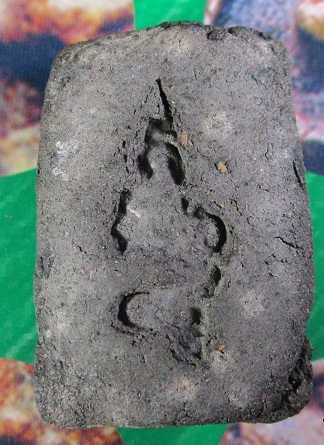 พระผง สีดำ นั่งบนหัวเสือ ของวัดไหนครับ