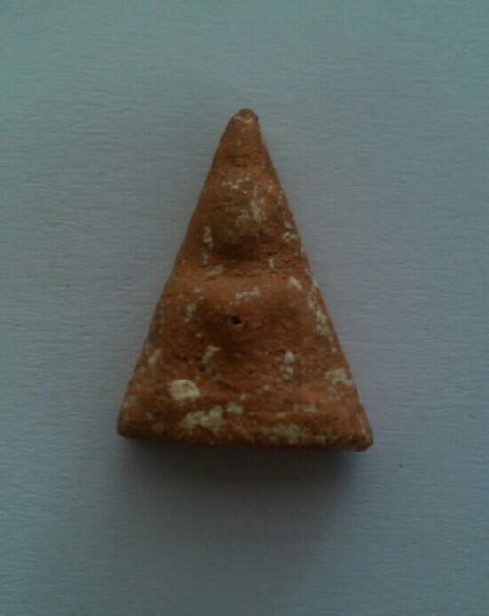 นางพญาเนื้อดิน