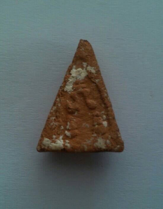 นางพญาเนื้อดิน