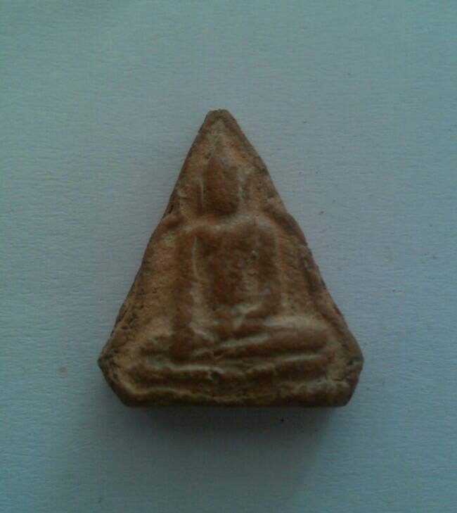 สอบถามช่วยแนะนำด้วยครับ นางพญาหรือเปล่า?