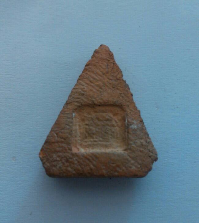 สอบถามช่วยแนะนำด้วยครับ นางพญาหรือเปล่า?