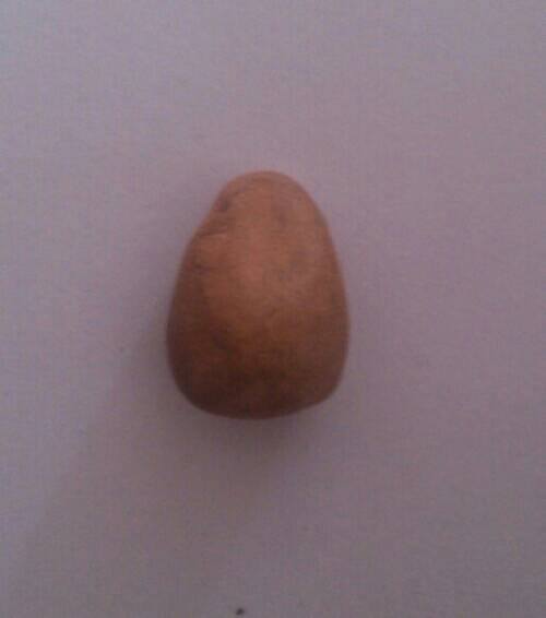 พระเนื้อผงองค์เท่าเหรียญบาท