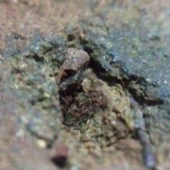 พระโป้ครับ รบกวนทุกท่านช่วยดู