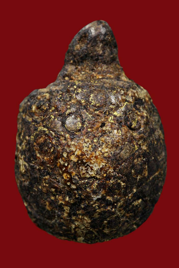 สอบถามเต่าเนื้อผงคลุกรัก