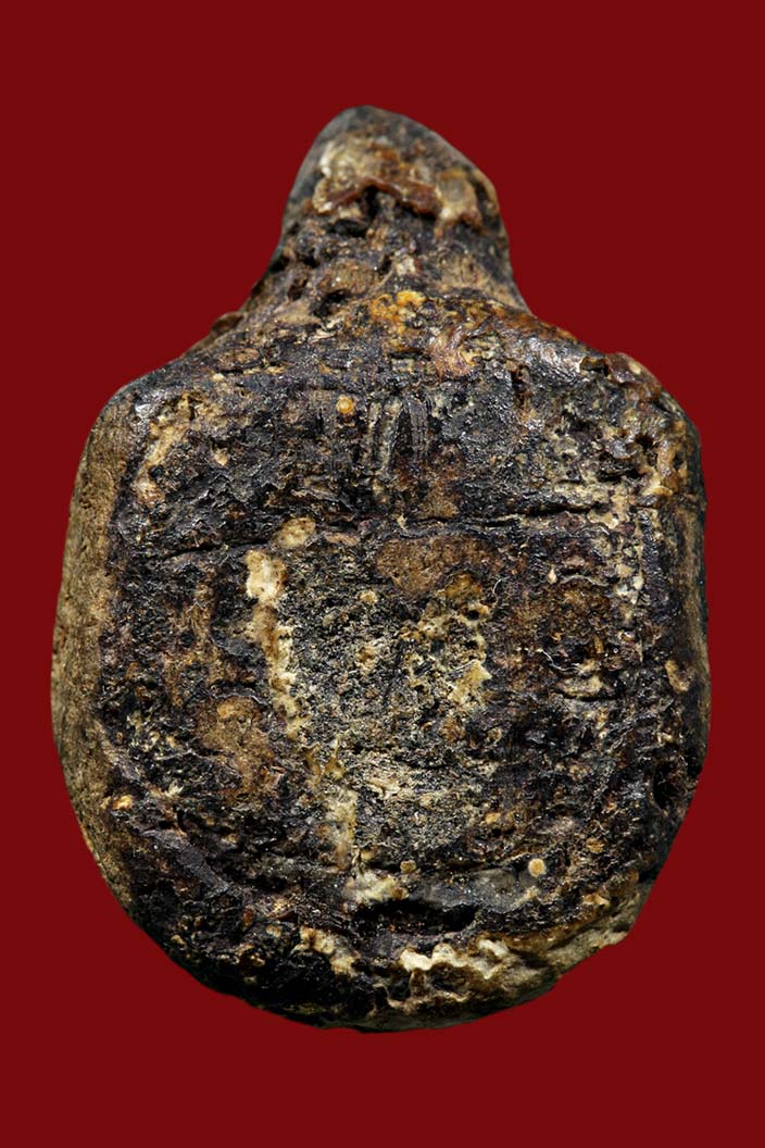 สอบถามเต่าเนื้อผงคลุกรัก