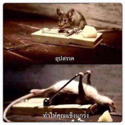 บ่นกันสนุกครับ