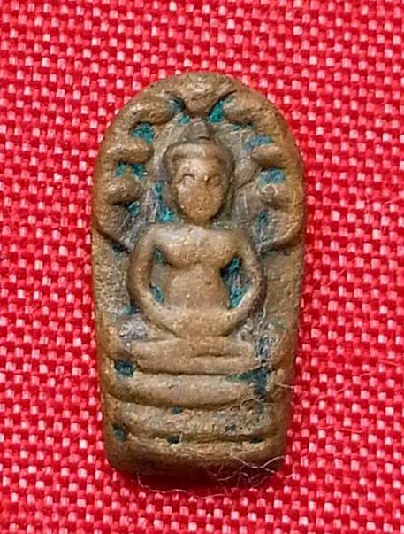 สอบถามปรกใบมะขามครับ