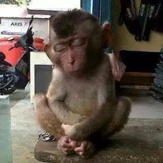 บ่นกันสนุกครับ