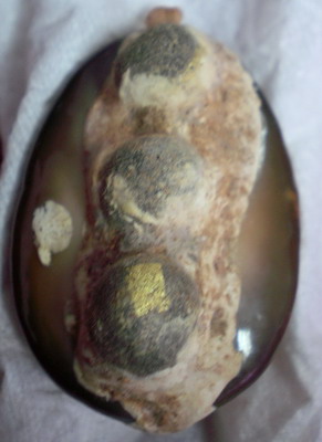 มีแบบนี้ด้วยหรอครับ