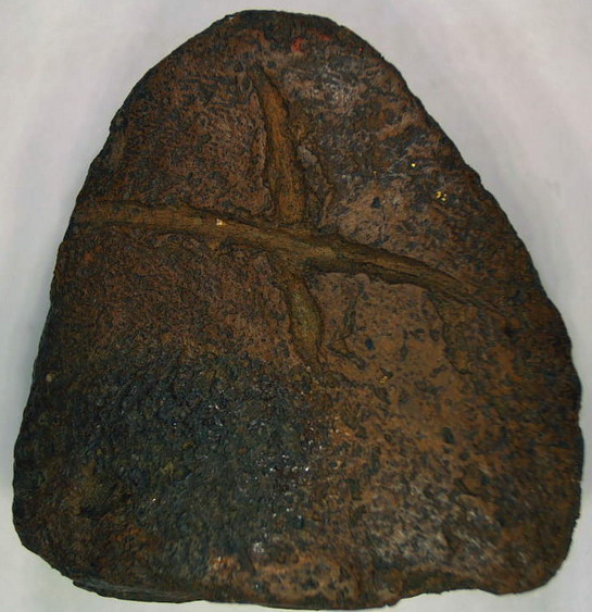 หลวงพ่อโป้