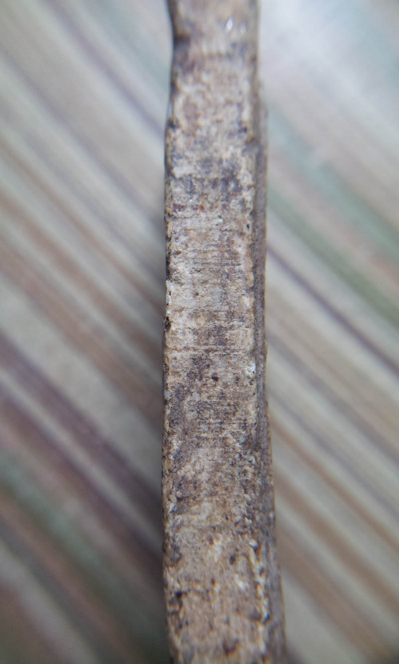 พระสมเด็จแท้ไหนครับ