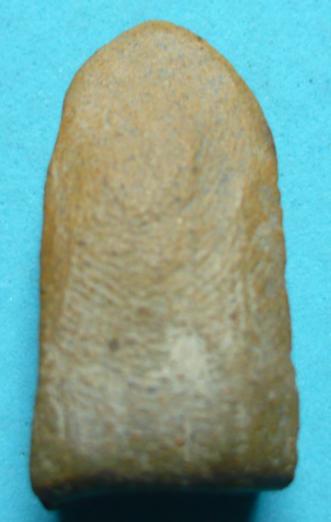 พระรอดวัดสิงห์ครับ